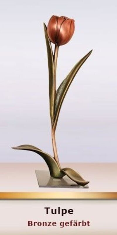 Tulpe - Bronze gefärbt